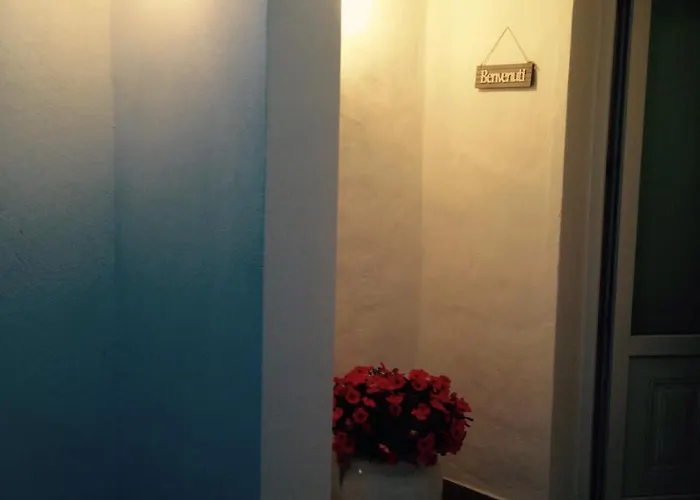 Nonna Mina * Felline