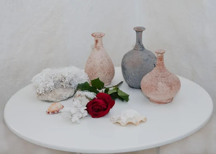 Nonna Mina * Felline