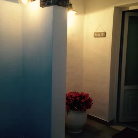 Nonna Mina * Felline